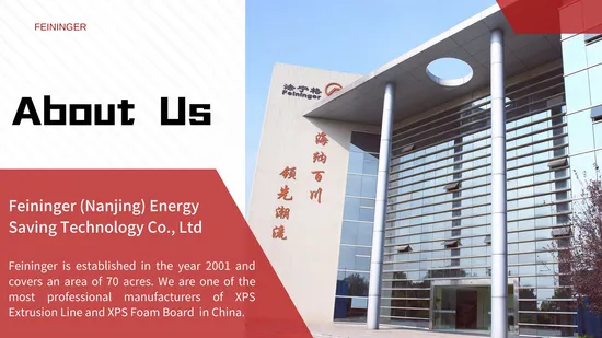 Twin Screw Etpu Beads Extruder Machine 