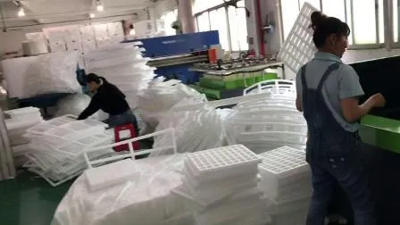 PE EPE XPE XLPE EPP EPS IXPE EVA Foam Auto Feed Laminating Machines 